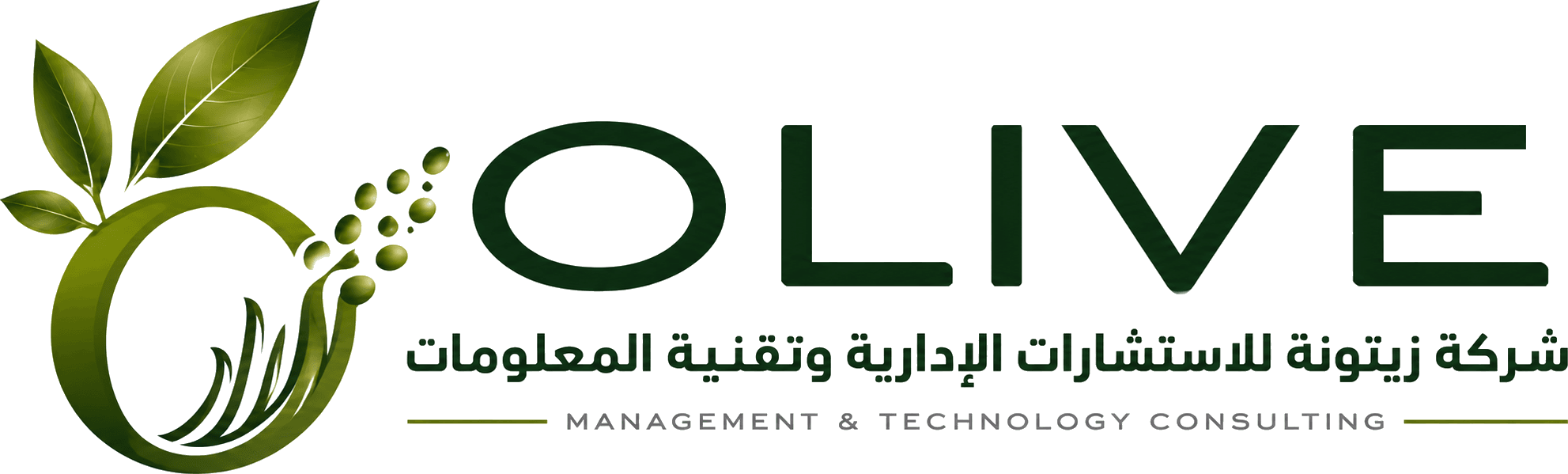 شركة زيتونة للاستشارات الإدارية وتقنية المعلومات